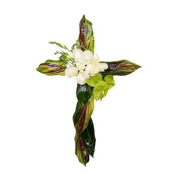 Cross Tribute White Large Flowers