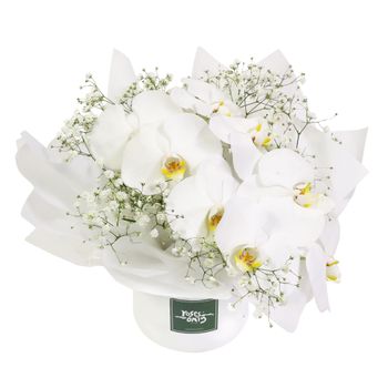 Luxury White Orchids Petite Flowers