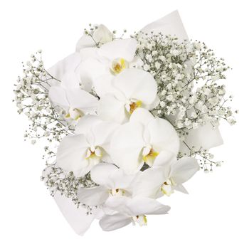 Luxury White Orchids Petite Flowers
