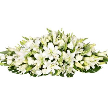 Lily Garden White Premium Flowers