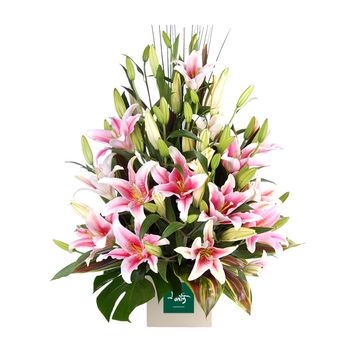 Lovely Lilies Pink Flowers