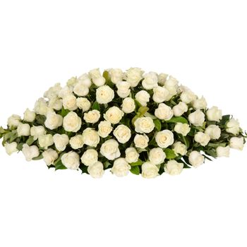 Timeless White Premium Flowers
