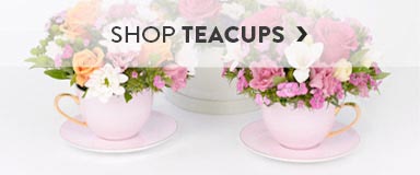 Shop Teacups